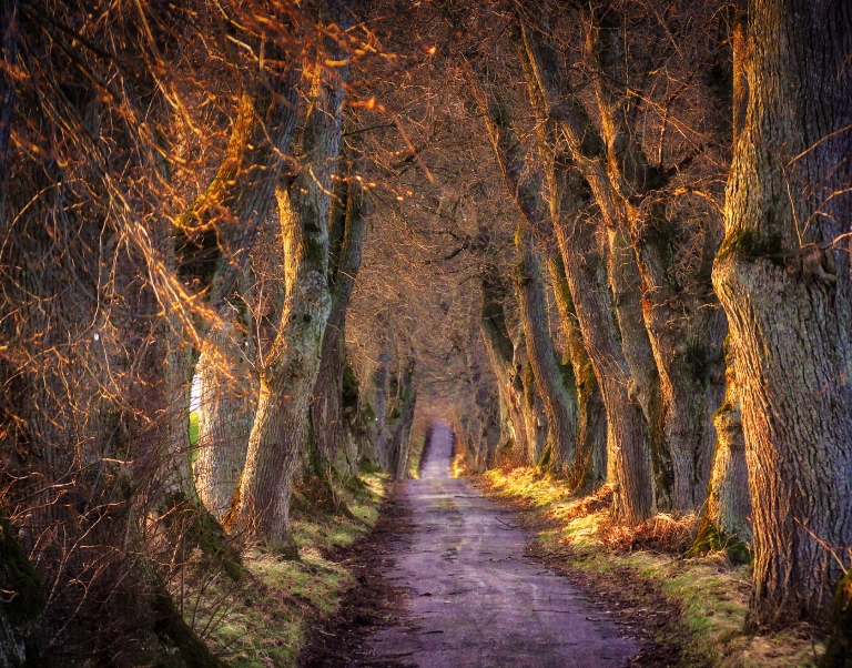 VISIONSSUCHE AM JAKOBSWEG